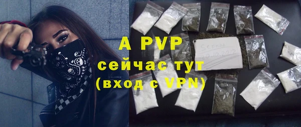 бошки Иннополис