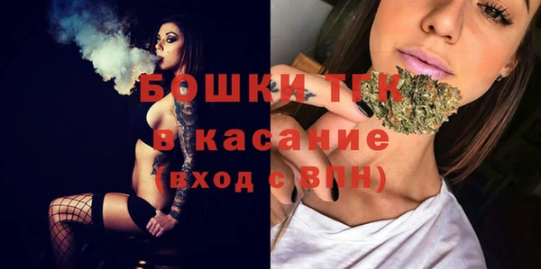 молекула духа Инта