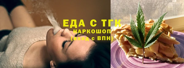 индика Инсар