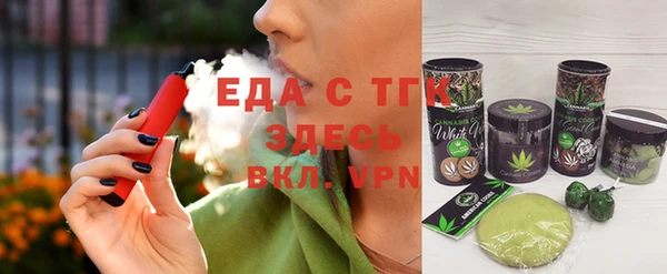 индика Инсар