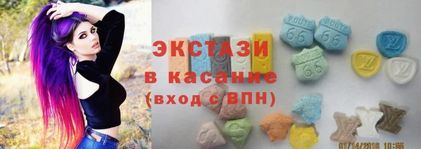 индика Инсар