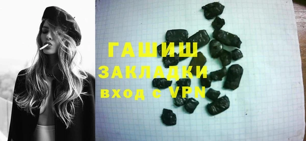 индика Инсар
