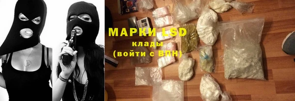 индика Инсар
