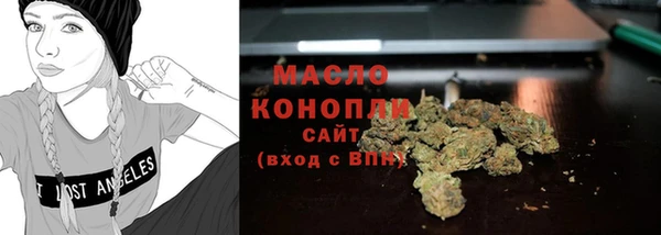 индика Инсар