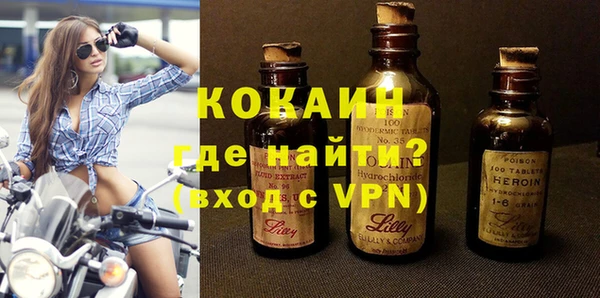 индика Инсар