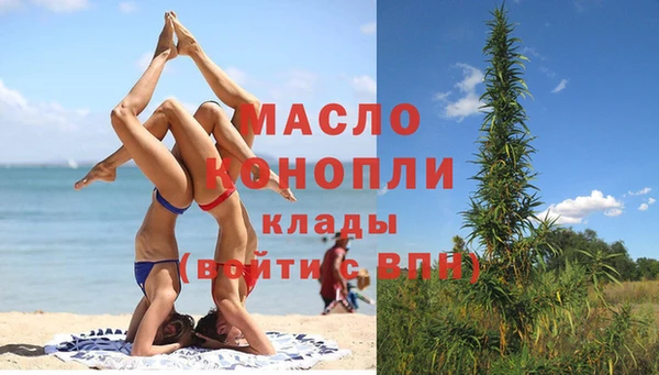 индика Инсар