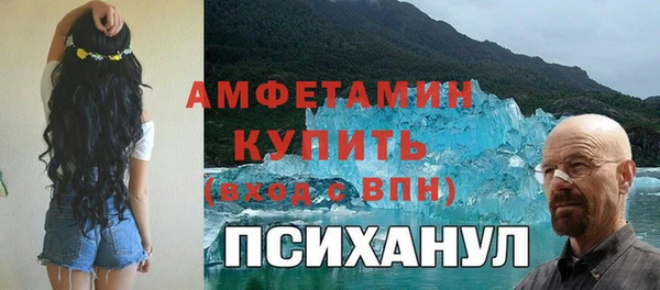 индика Инсар