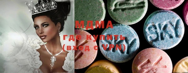 индика Инсар