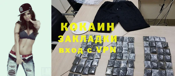 индика Инсар