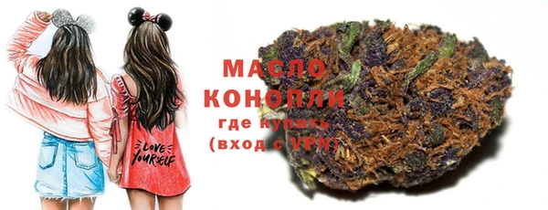 индика Инсар