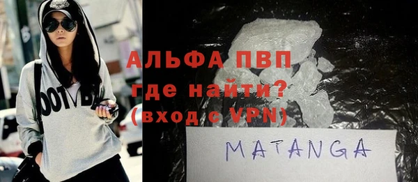 индика Инсар