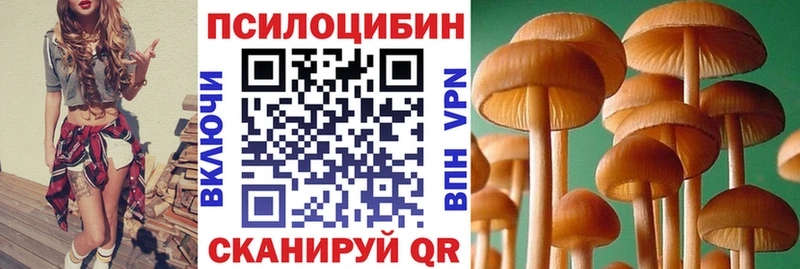 Псилоцибиновые грибы Cubensis  ссылка на мегу зеркало  Первоуральск 